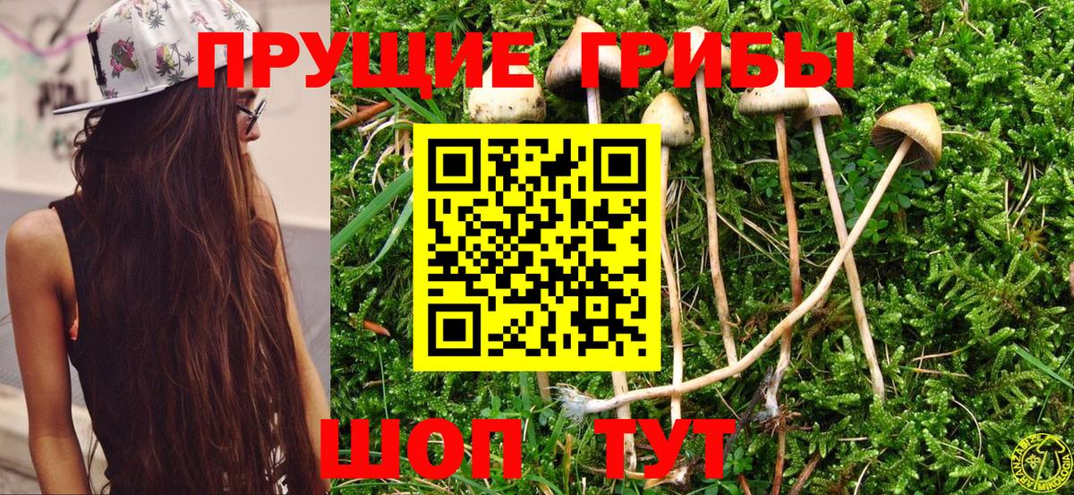 Всеволожск  Галлюциногенные грибы MAGIC MUSHROOMS  Вход с VPN 